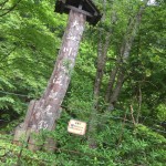 村澤の休日①(￣▽￣)　大宮　美容室ailes（エルズ）